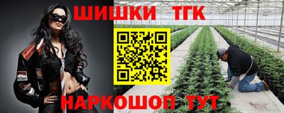 меф Краснознаменск